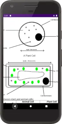 Zimsec Biology Revision android App screenshot 4